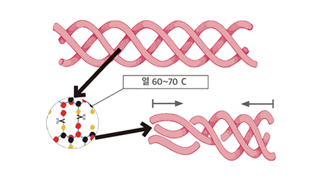 지방분해주사 얼굴 윤곽, 탄력